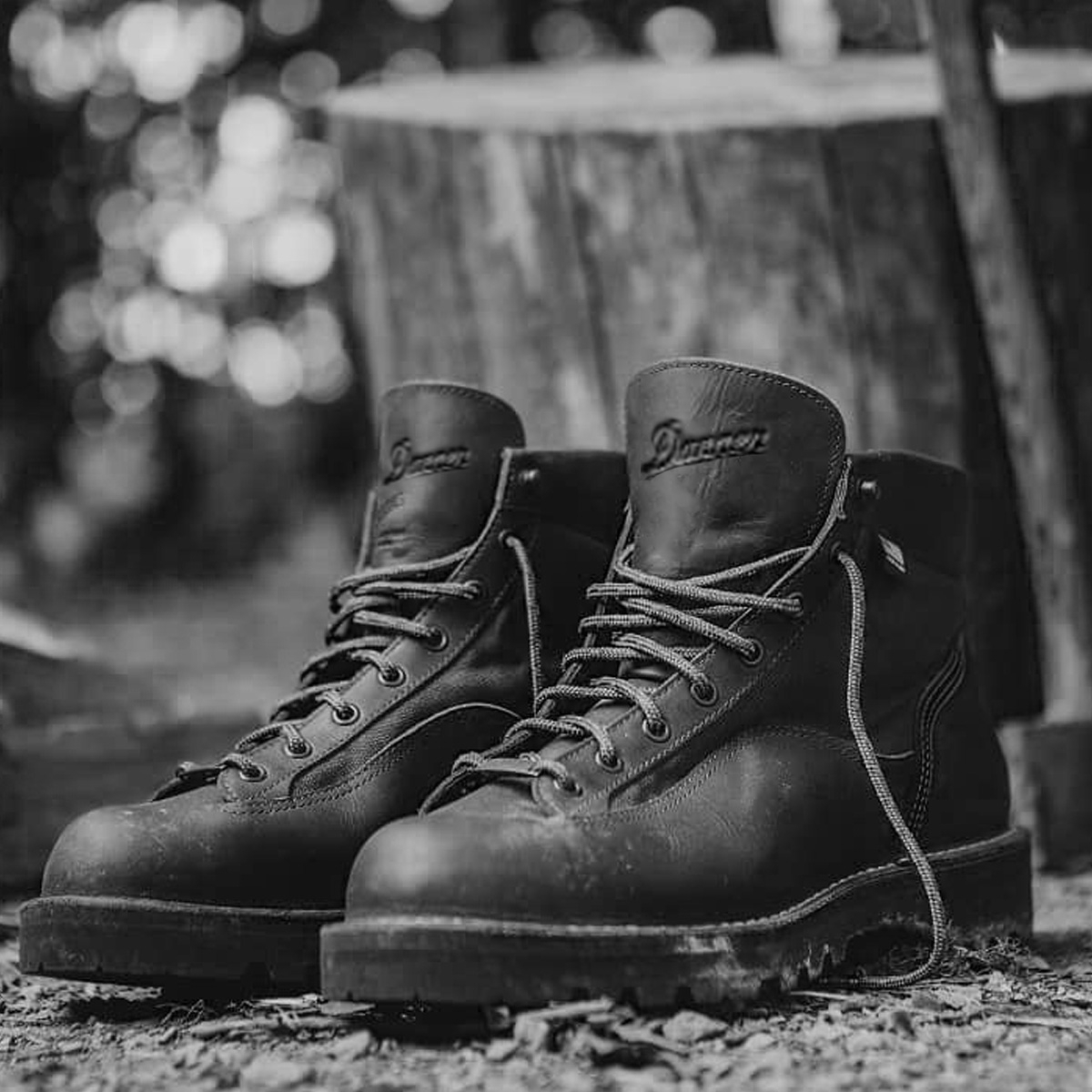 Danner Light II Boot Dark Brown