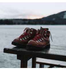 Danner Mountain Light GORE-TEX Boot Cascade Clovis