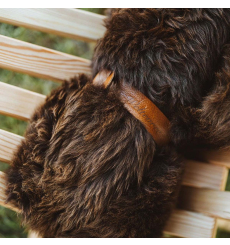 Weltevree Sheepscoat Brown front