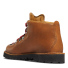 Danner Mountain Light GORE-TEX Boot Cascade Clovis