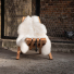 Weltevree Sheepscoat White lifestyle on Fieldchair