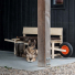 Weltevree Wheelbench Oak Wood lifestyle with dog