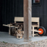 Weltevree Wheelbench Oak Wood lifestyle with dog