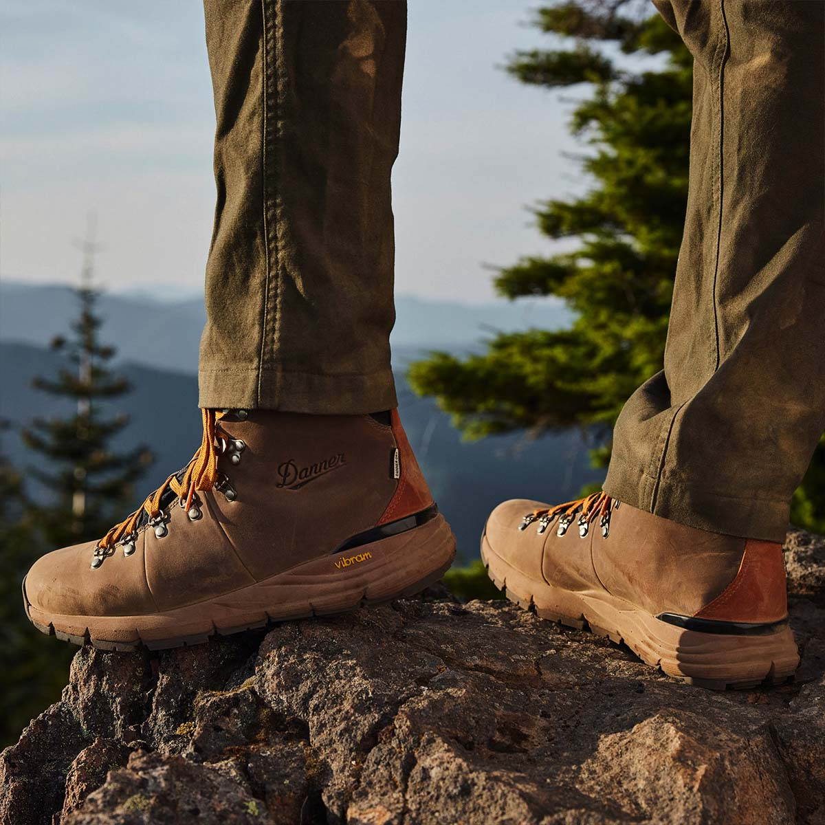 Danner Mountain 600 Boot Rich Brown, perfect boots for walking nature