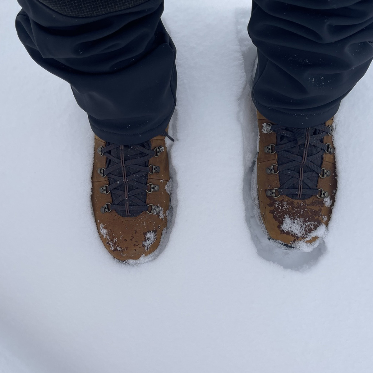 Danner Mountain 600 Boot Rich Brown, used-by-the-Danner-Community