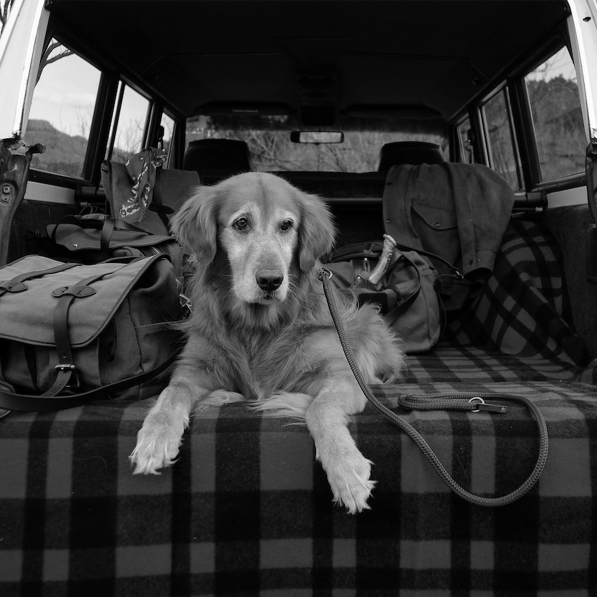https://www.beaubags.com/media/wysiwyg/filson-accessoires/Filson-Mackinaw-Blanket-11080110-gray-black-dog.jpg